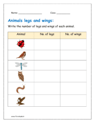 2: Write the number of leg and wings of each animal