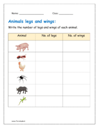 3: Write the number of leg and wings of each animal