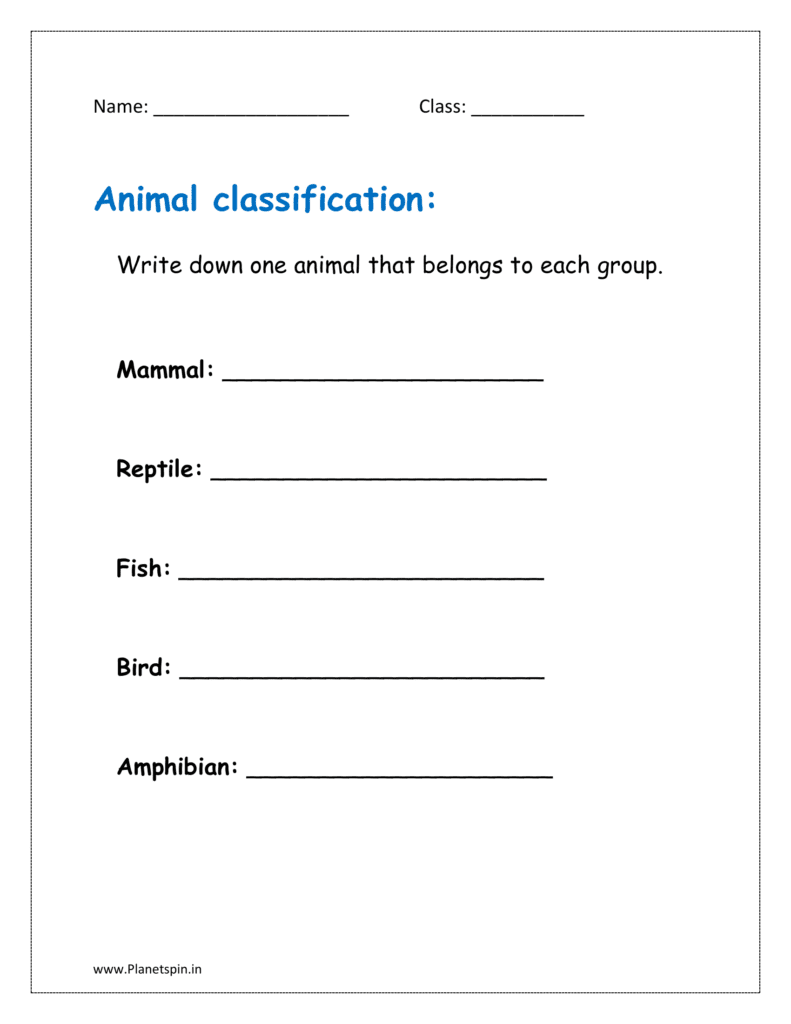 Write down one animal that belongs to each group.