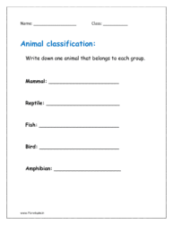 Write down one animal that belongs to each group.