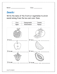 Write the name of the fruits or vegetables to which seeds belong from the box and color them.