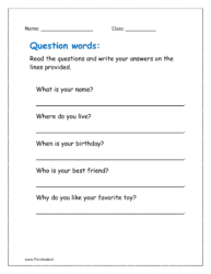 Read the questions and write your answers on the lines provided (question words worksheet for class 1)