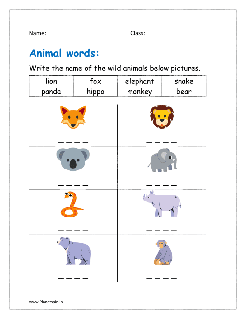 Write the name of the wild animals below pictures