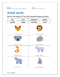 Write the name of the wild animals below pictures