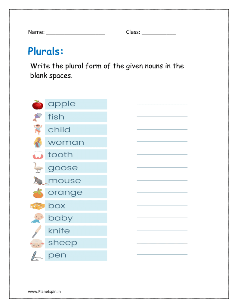 Write the plural form of the given nouns in the blank spaces