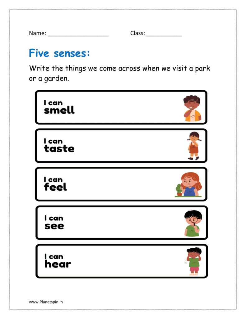 sense organs worksheet for kindergarten pdf