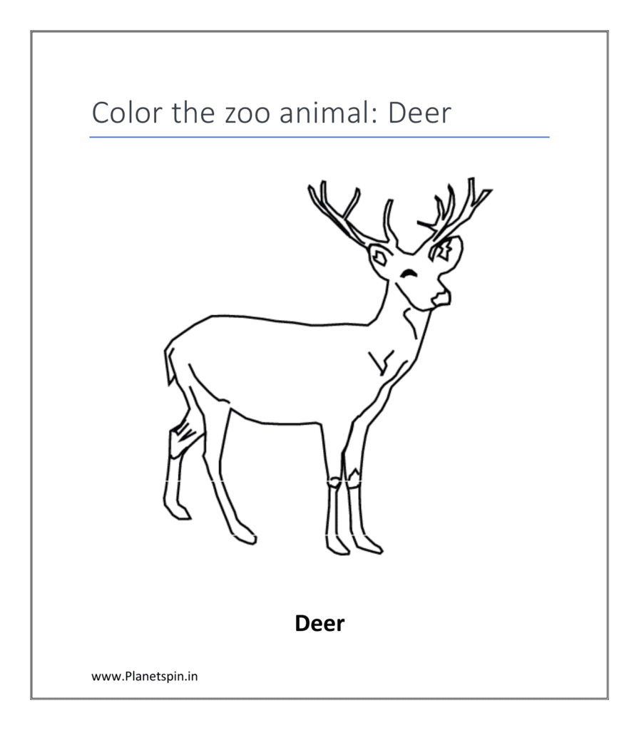 Deer