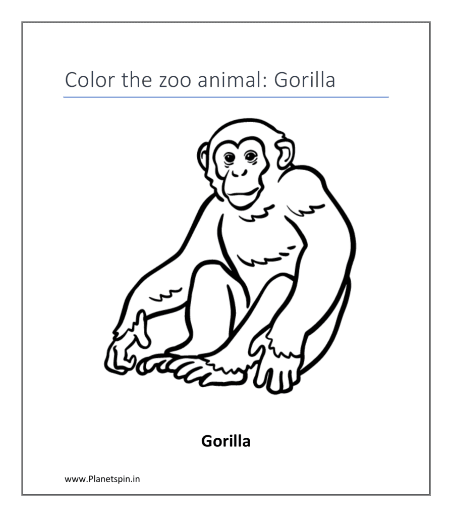 Gorilla