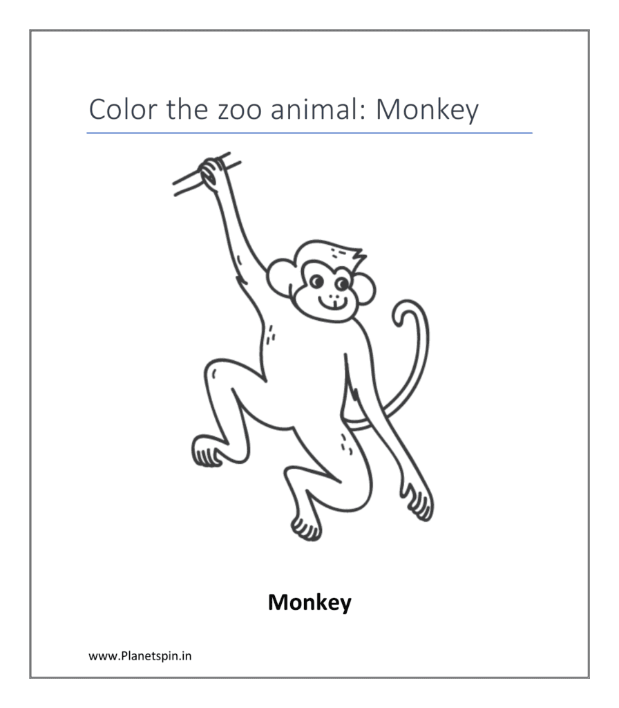 Monkey