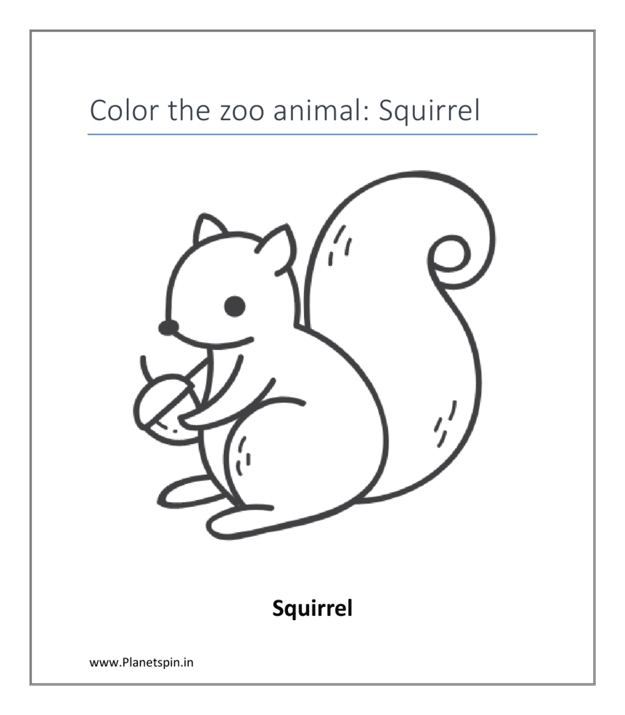 Squirrel